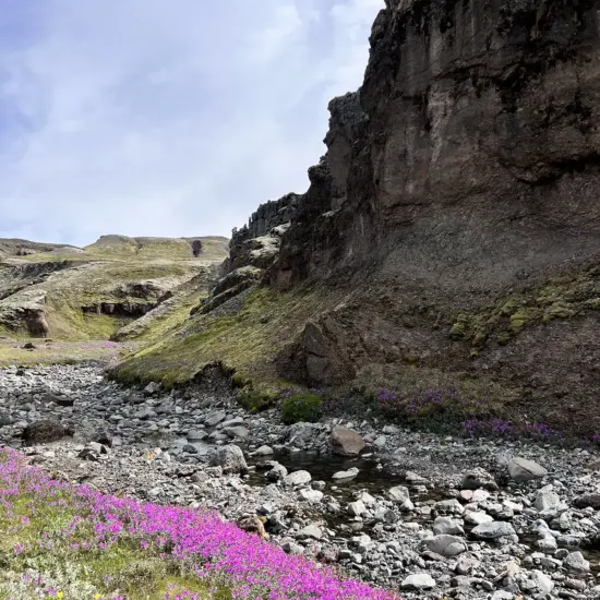 Núpstaðaskógur and Skaftafell tour with Private Iceland