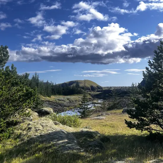 Þingvellir National Park